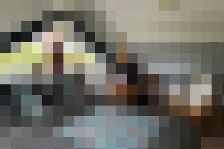 Lage Giessen 19 Hoornaar thumbnail 22