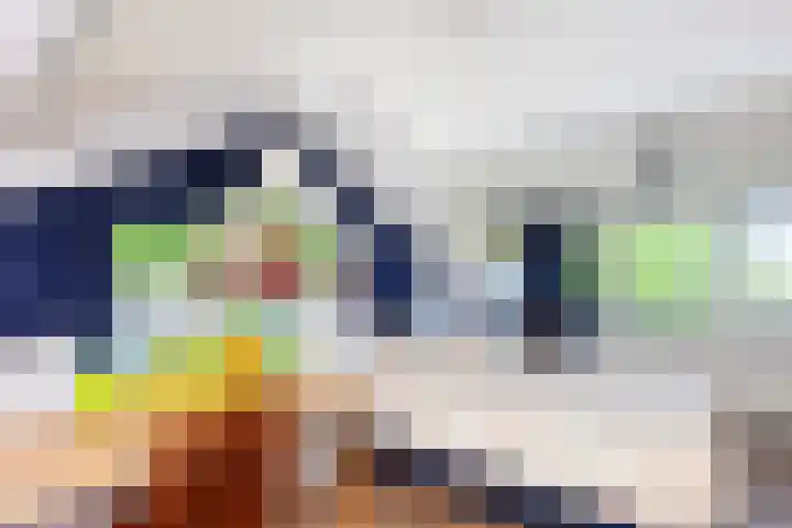Lage Giessen 19 Hoornaar thumbnail 24