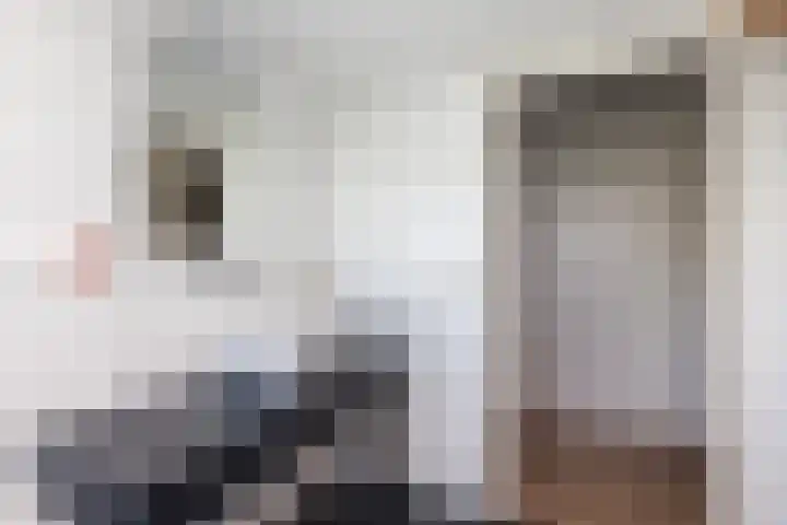 Lage Giessen 19 Hoornaar thumbnail 28