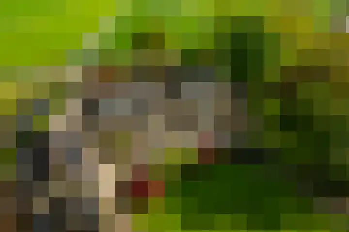 Lage Giessen 19 Hoornaar thumbnail 31
