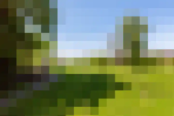 Lage Giessen 19 Hoornaar thumbnail 32