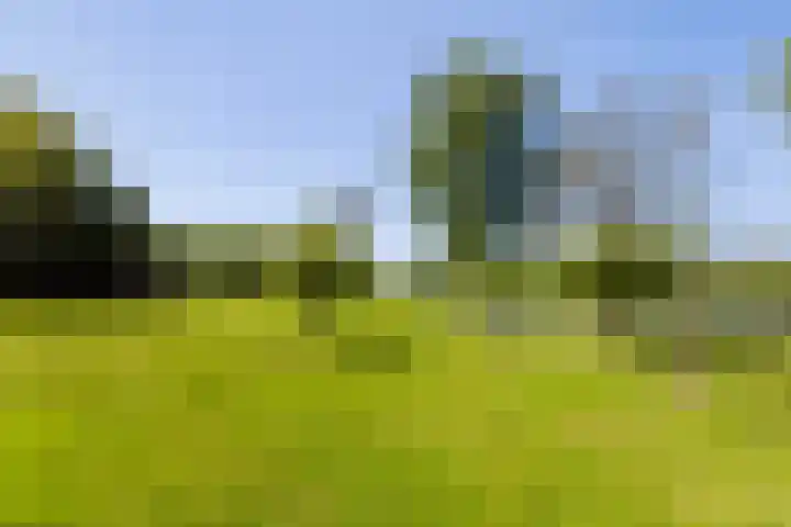 Lage Giessen 19 Hoornaar thumbnail 33