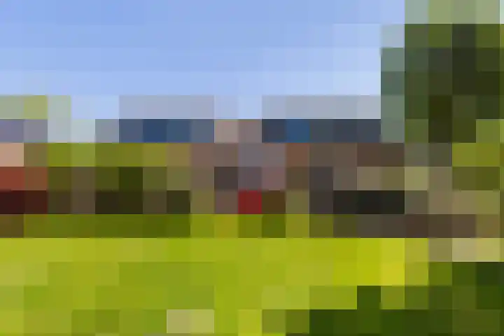 Lage Giessen 19 Hoornaar thumbnail 34