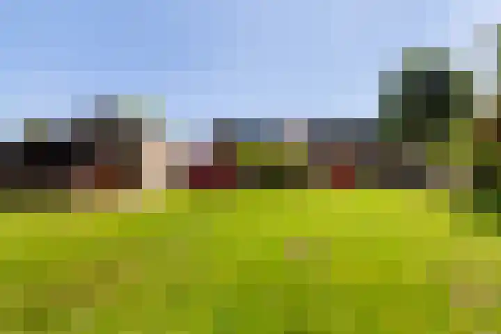 Lage Giessen 19 Hoornaar thumbnail 35