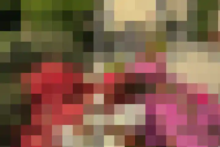 Lage Giessen 19 Hoornaar thumbnail 36