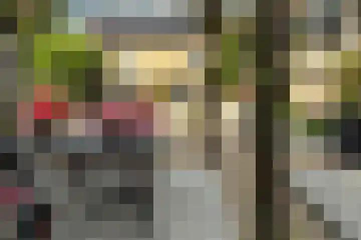Lage Giessen 19 Hoornaar thumbnail 37