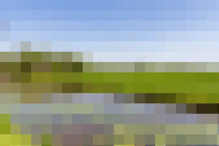 Lage Giessen 19 Hoornaar thumbnail 38