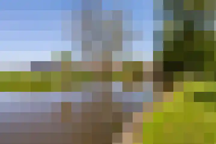 Lage Giessen 19 Hoornaar thumbnail 40