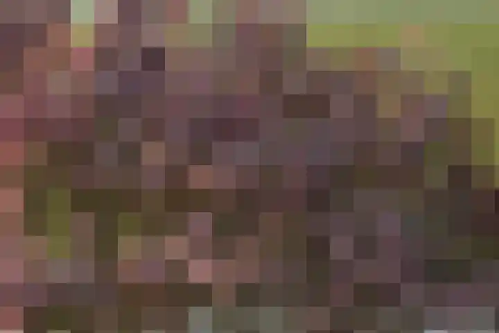 Lage Giessen 19 Hoornaar thumbnail 41