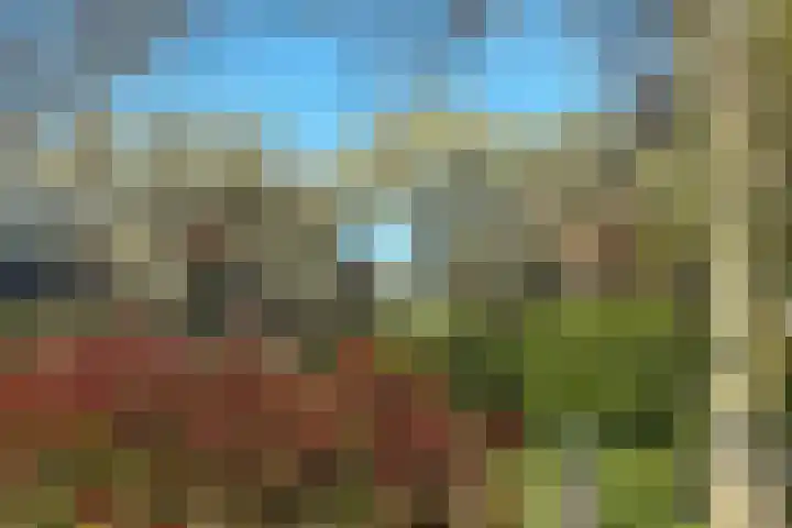 Lage Giessen 19 Hoornaar thumbnail 42