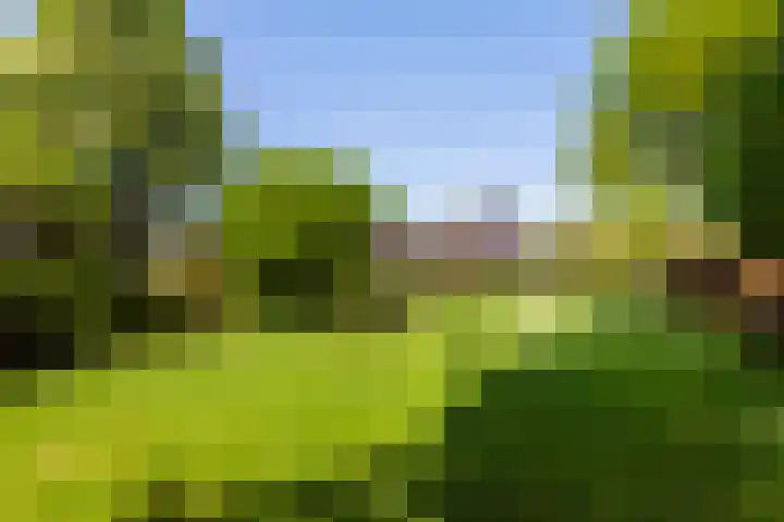 Lage Giessen 19 Hoornaar thumbnail 44