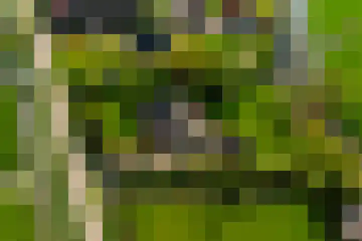 Lage Giessen 19 Hoornaar thumbnail 48