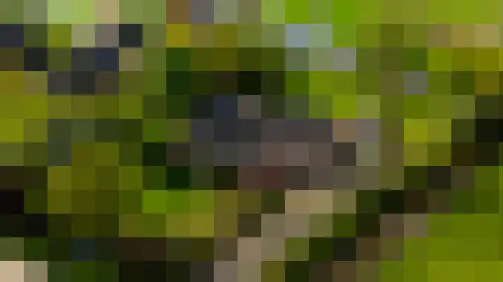 Lage Giessen 19 Hoornaar thumbnail 53