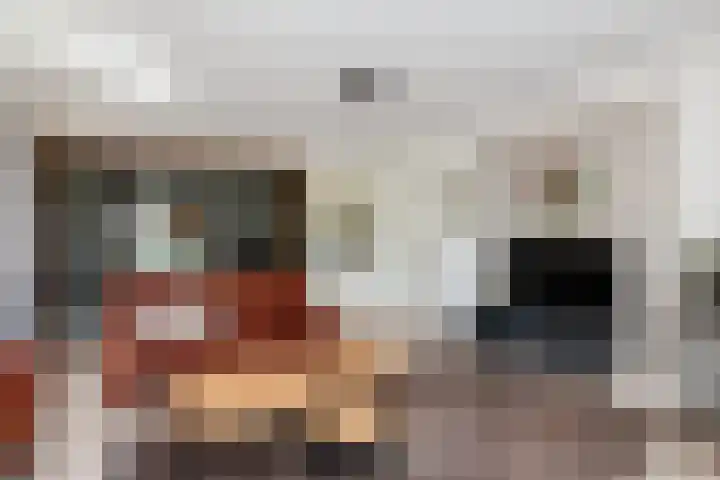 Lage Giessen 19 Hoornaar thumbnail 6
