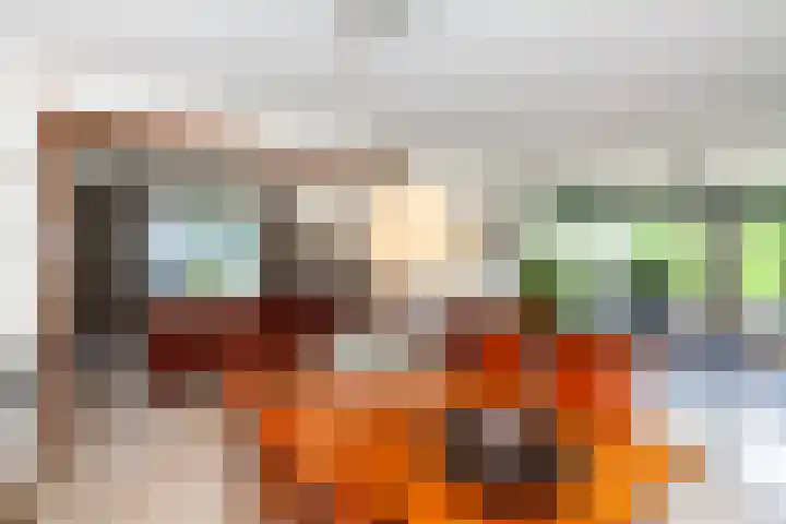Lage Giessen 19 Hoornaar thumbnail 8