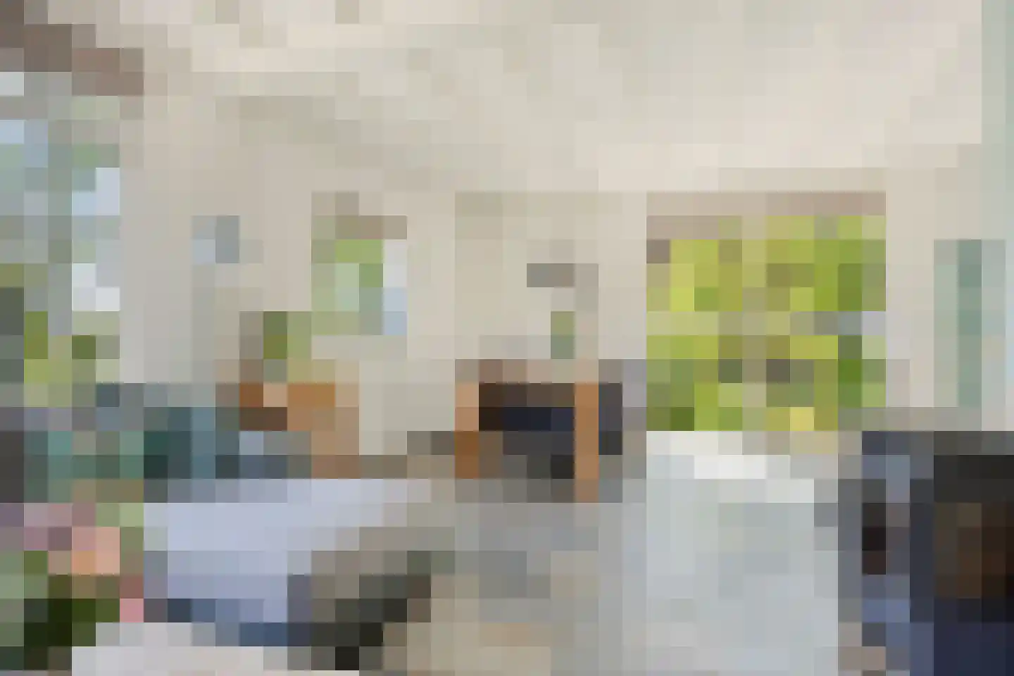 Lage Giessen 2 II Hoornaar thumbnail 10