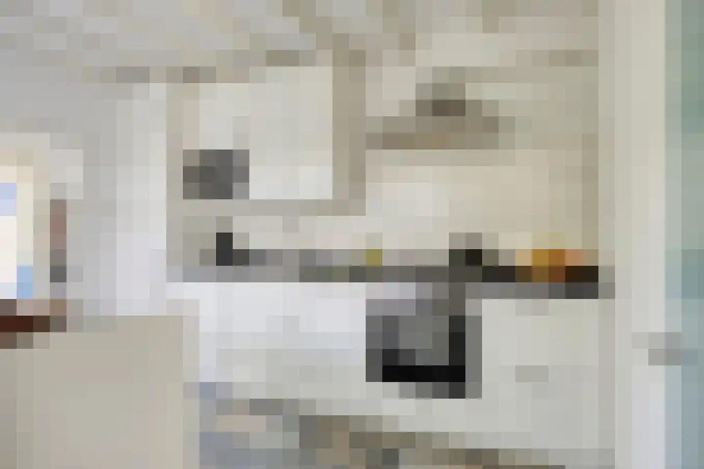 Lage Giessen 2 II Hoornaar thumbnail 12