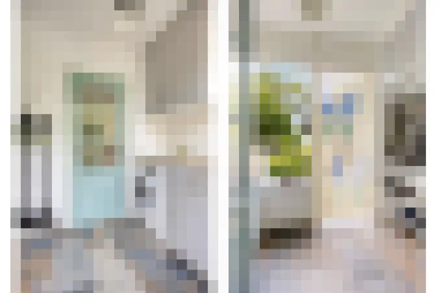 Lage Giessen 2 II Hoornaar thumbnail 15