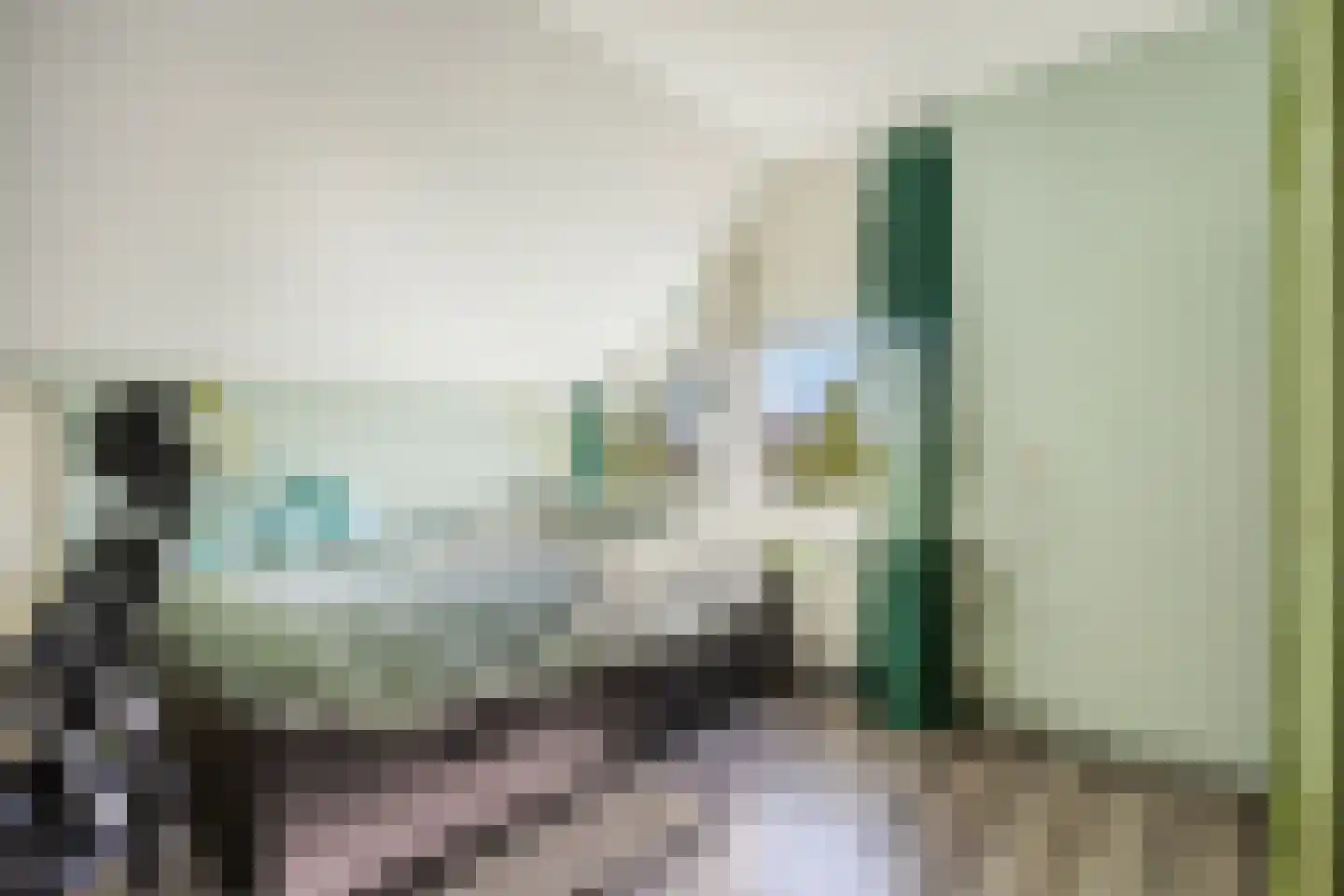 Lage Giessen 2 II Hoornaar thumbnail 19