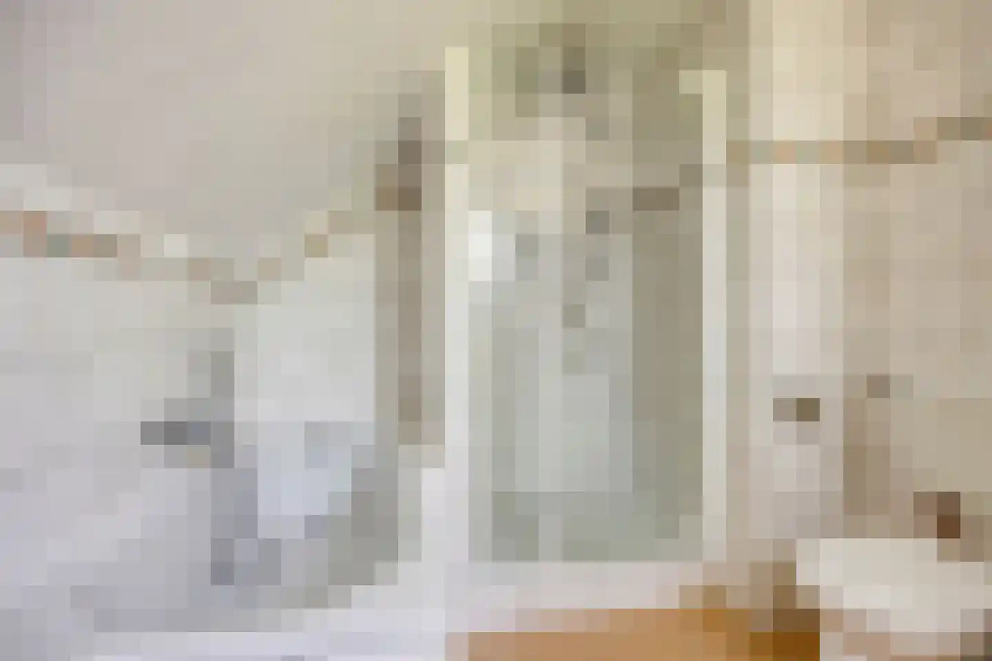 Lage Giessen 2 II Hoornaar thumbnail 23