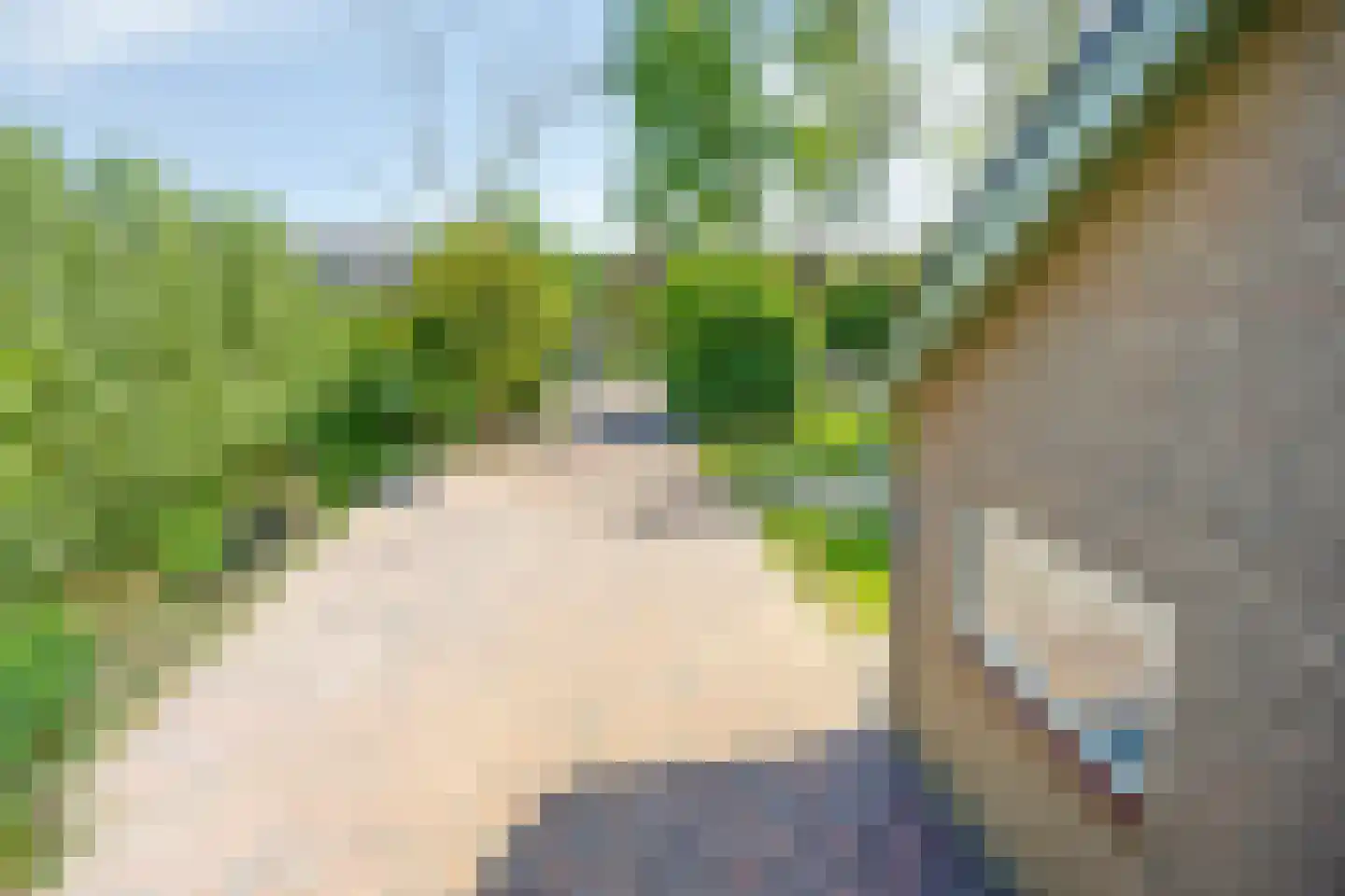 Lage Giessen 2 II Hoornaar thumbnail 27