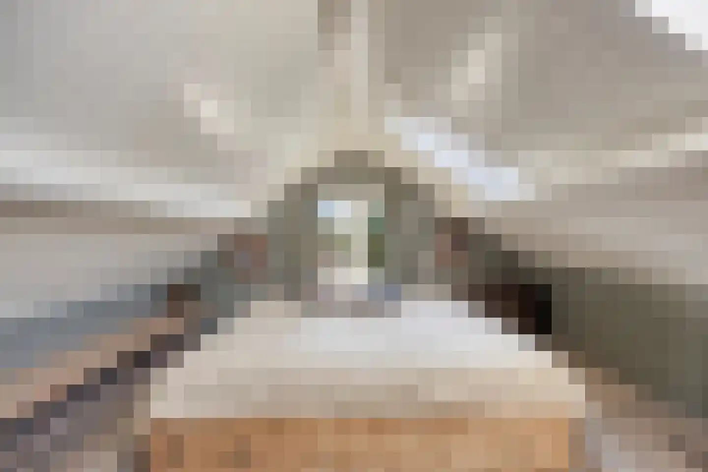 Lage Giessen 2 II Hoornaar thumbnail 29