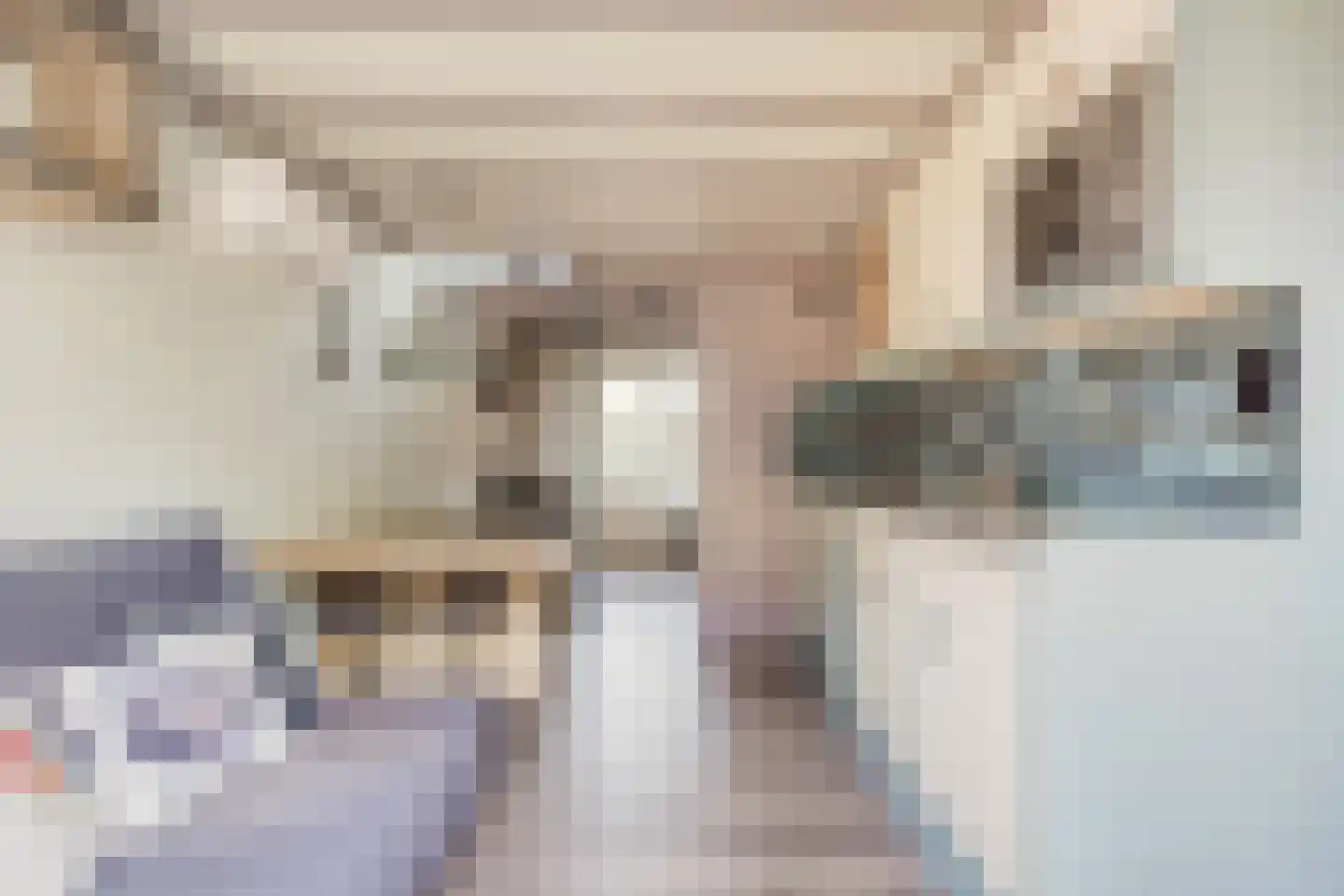 Lage Giessen 2 II Hoornaar thumbnail 31