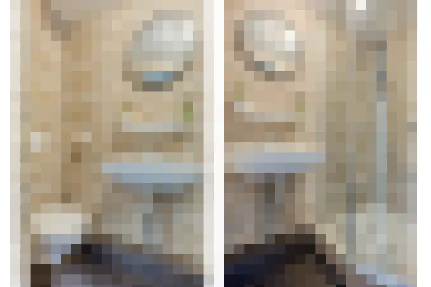 Lage Giessen 2 II Hoornaar thumbnail 32