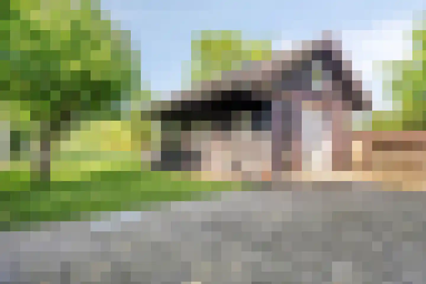 Lage Giessen 2 II Hoornaar thumbnail 33