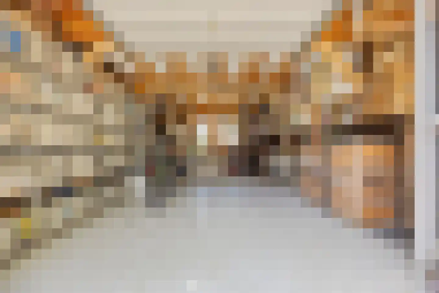Lage Giessen 2 II Hoornaar thumbnail 34