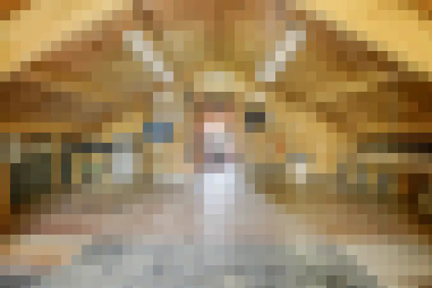 Lage Giessen 2 II Hoornaar thumbnail 35
