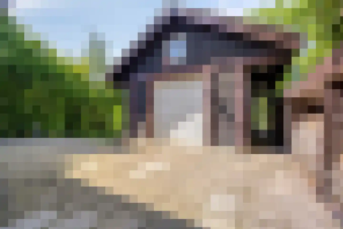 Lage Giessen 2 II Hoornaar thumbnail 36