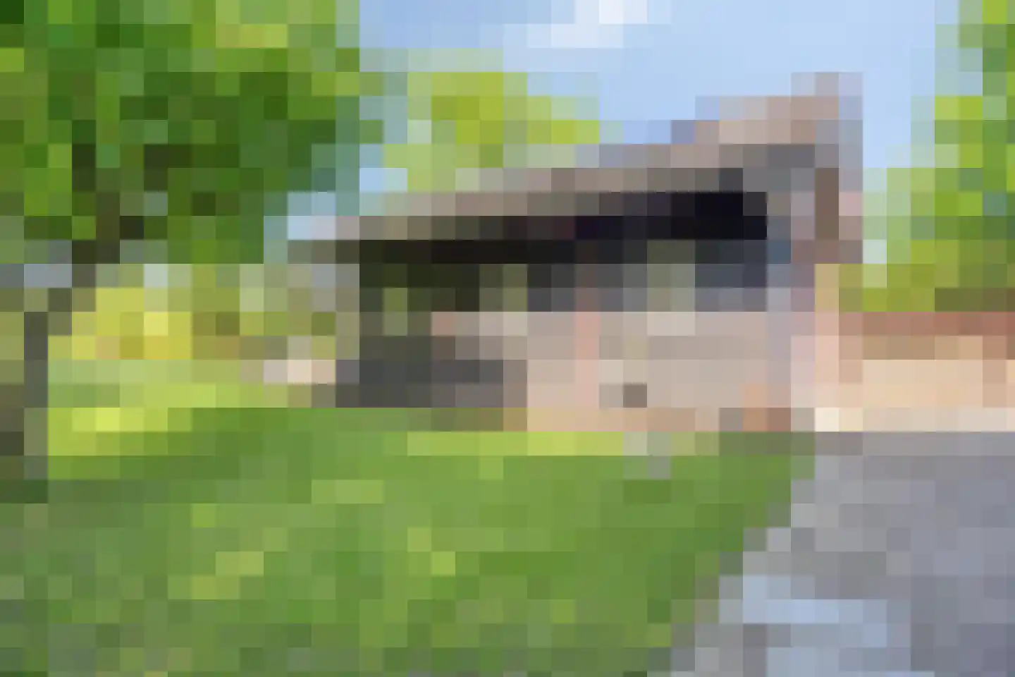 Lage Giessen 2 II Hoornaar thumbnail 37