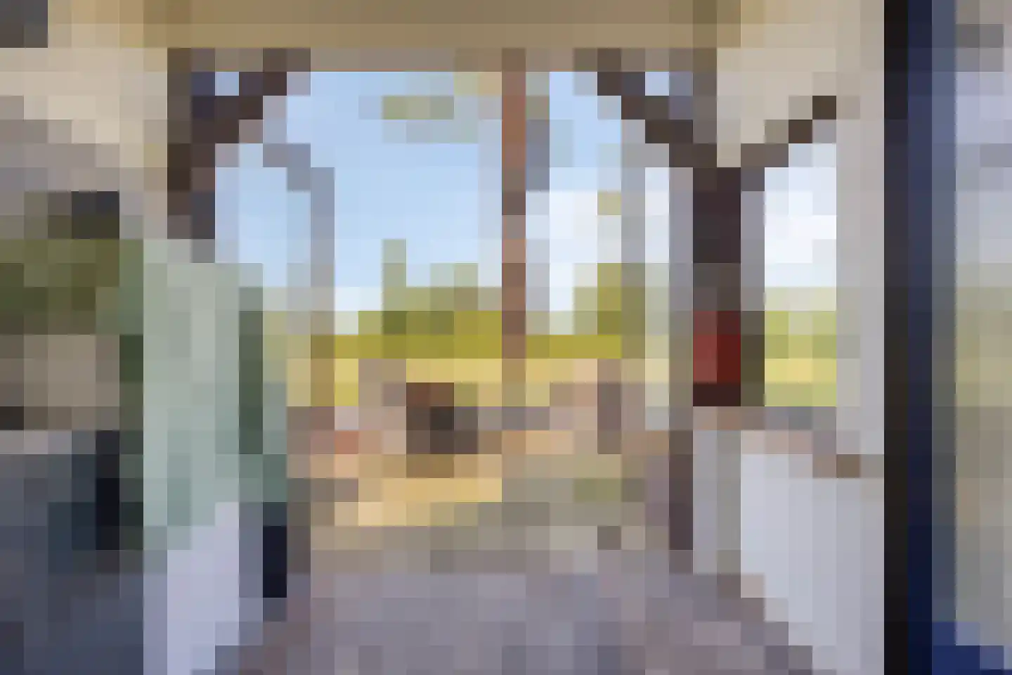 Lage Giessen 2 II Hoornaar thumbnail 39