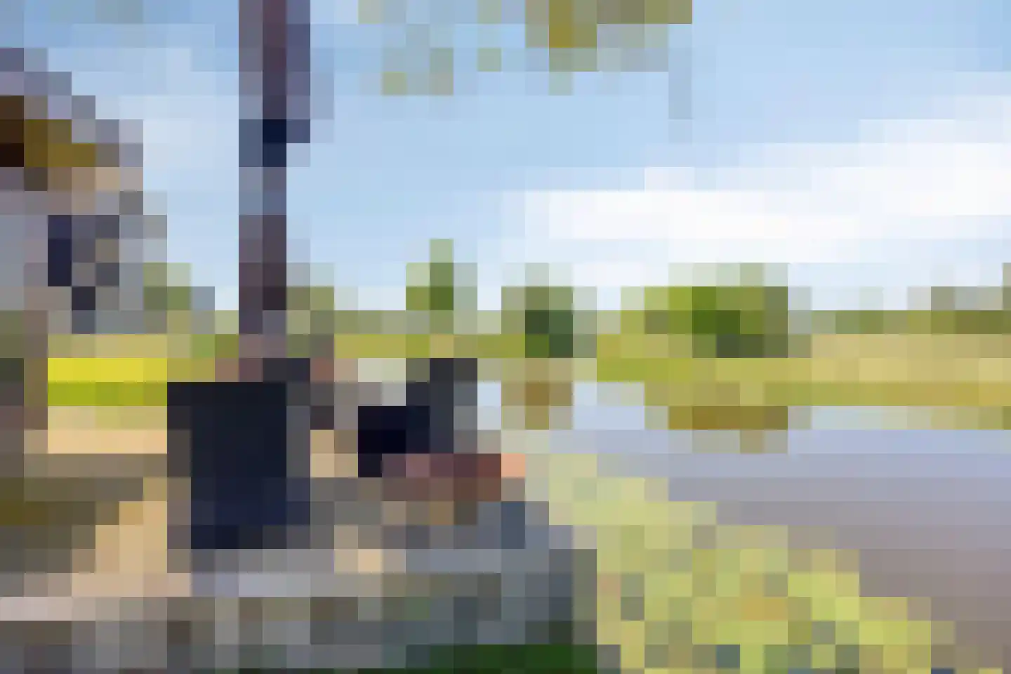 Lage Giessen 2 II Hoornaar thumbnail 41