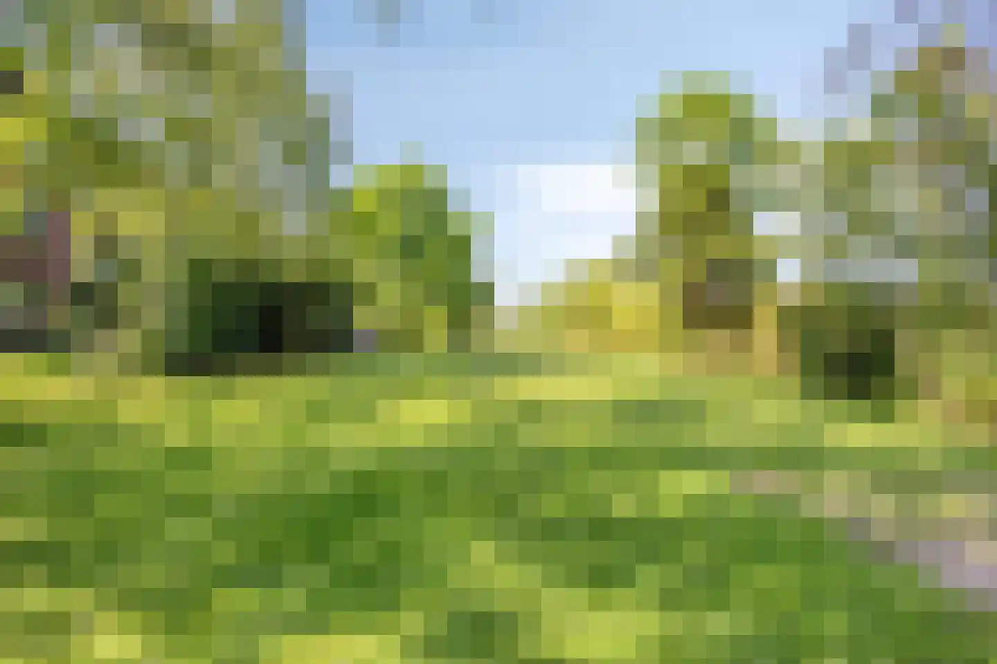 Lage Giessen 2 II Hoornaar thumbnail 42