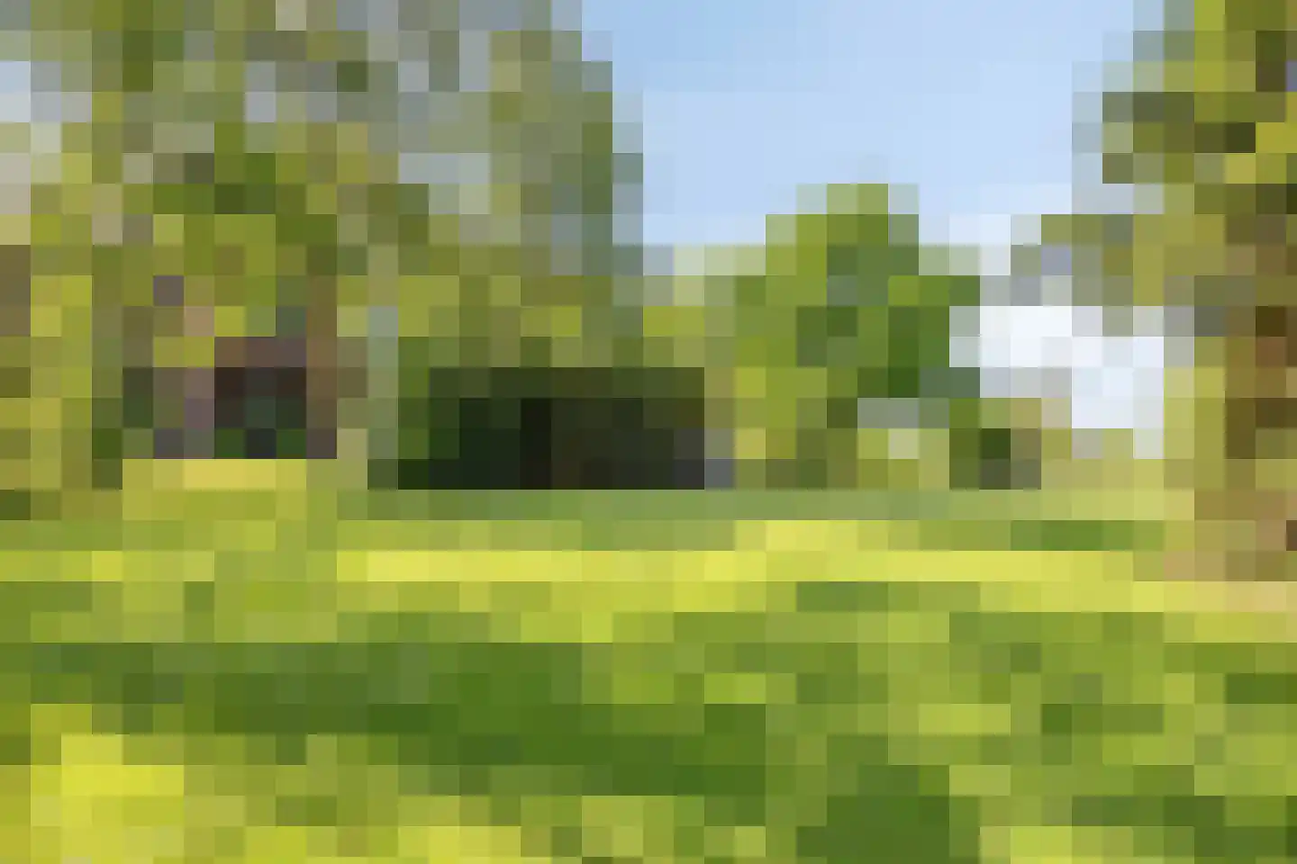 Lage Giessen 2 II Hoornaar thumbnail 43