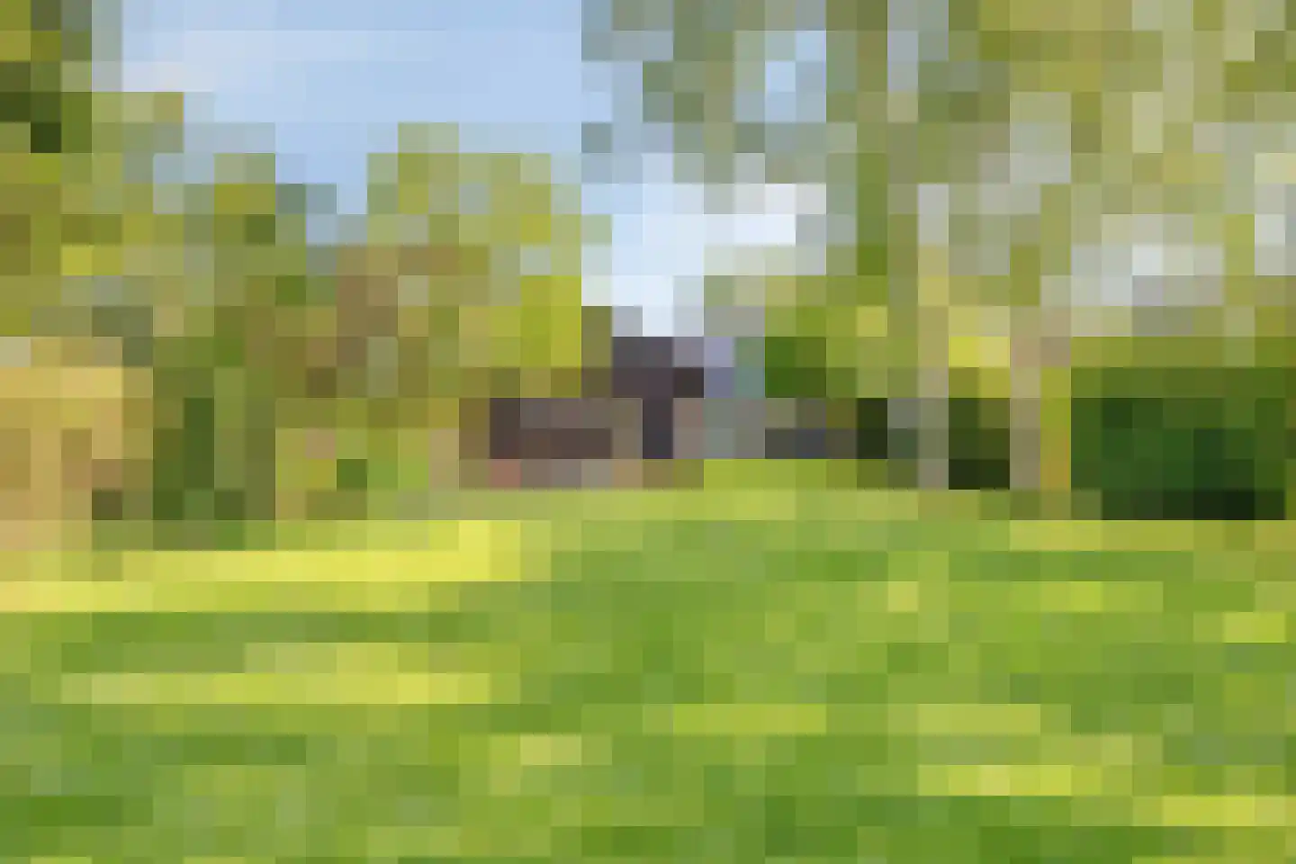 Lage Giessen 2 II Hoornaar thumbnail 47