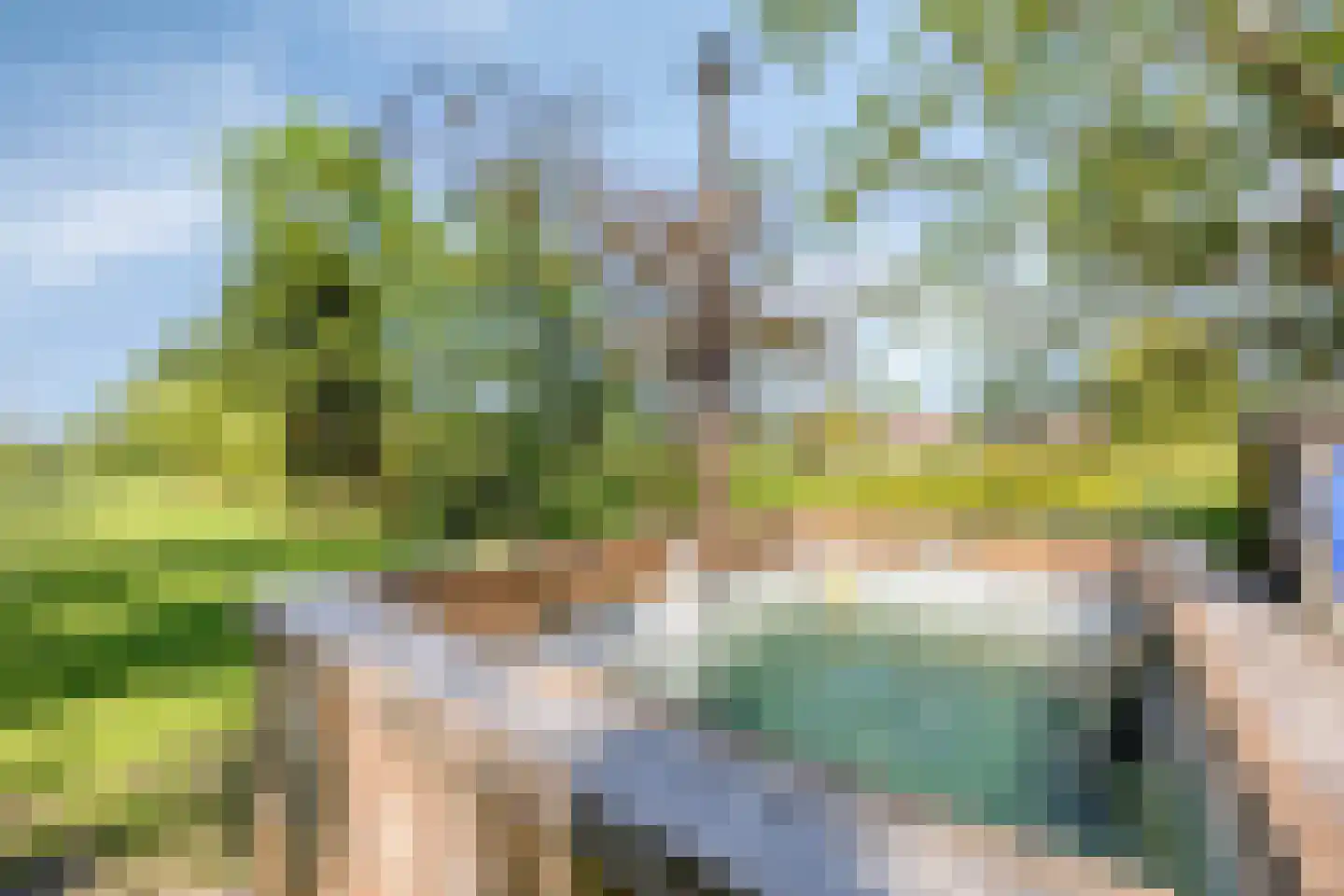Lage Giessen 2 II Hoornaar thumbnail 49