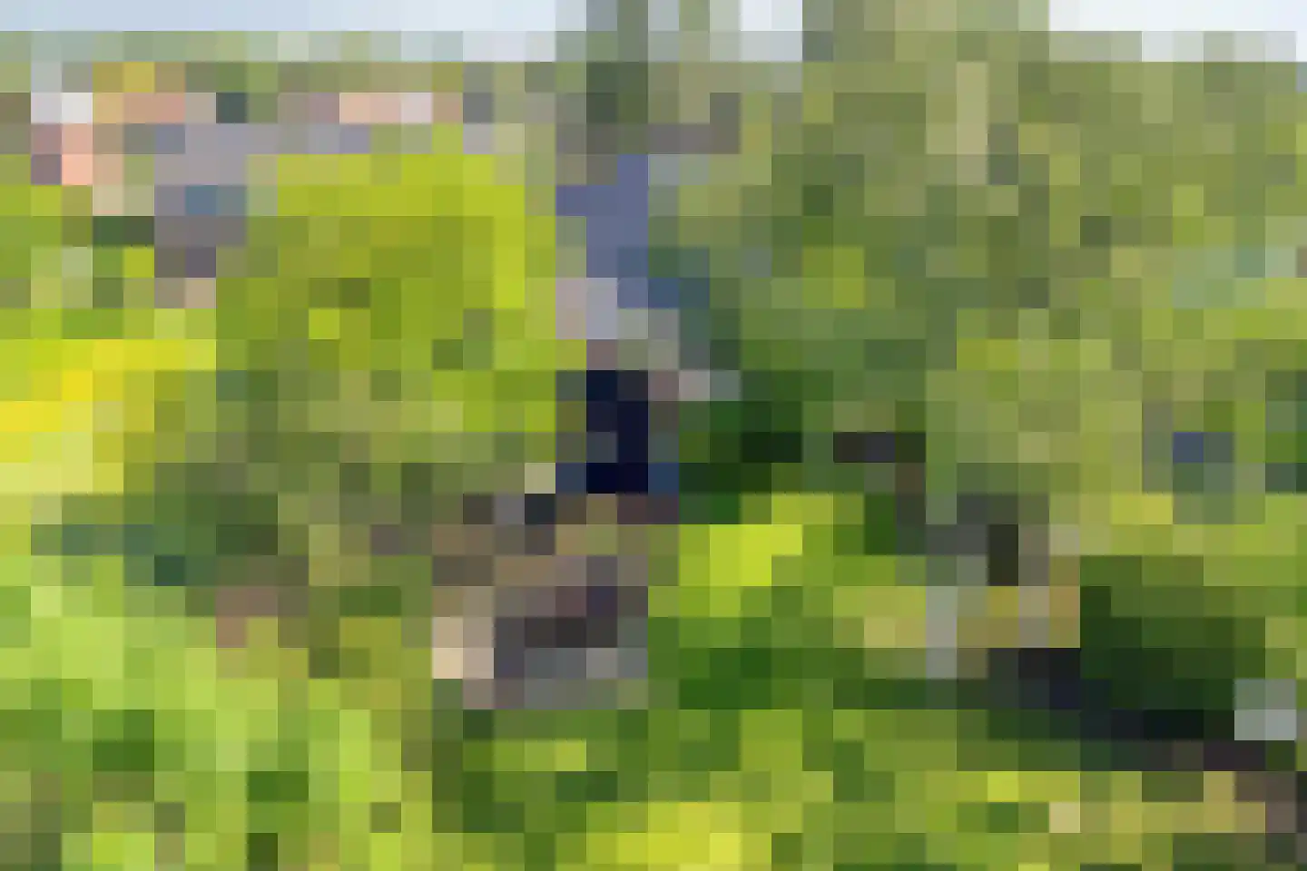 Lage Giessen 2 II Hoornaar thumbnail 5