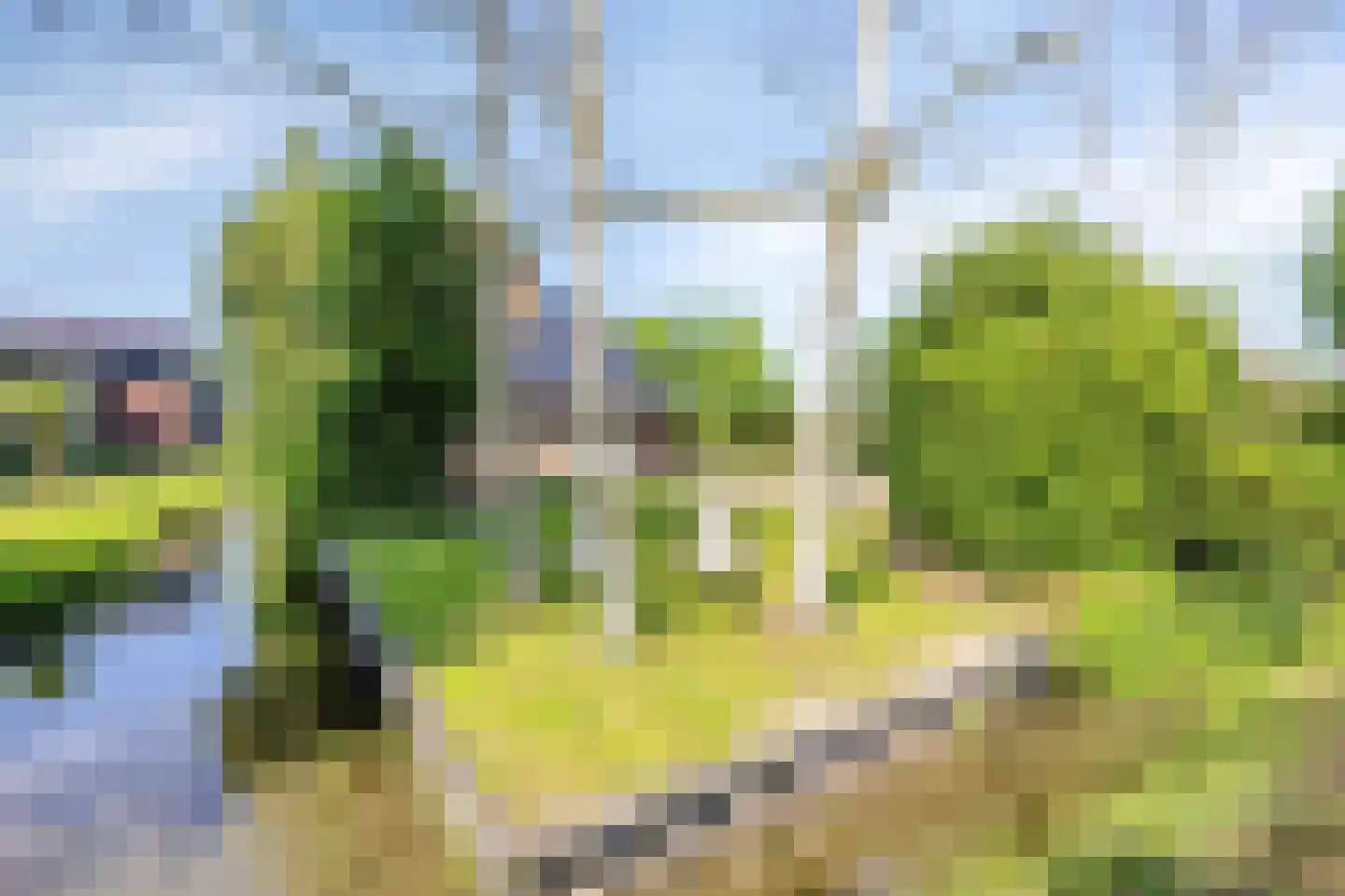 Lage Giessen 2 II Hoornaar thumbnail 51