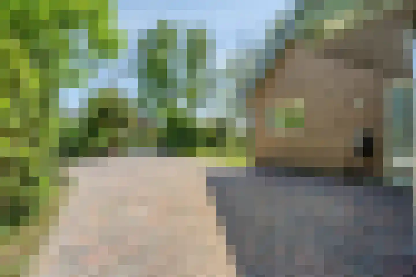 Lage Giessen 2 II Hoornaar thumbnail 54