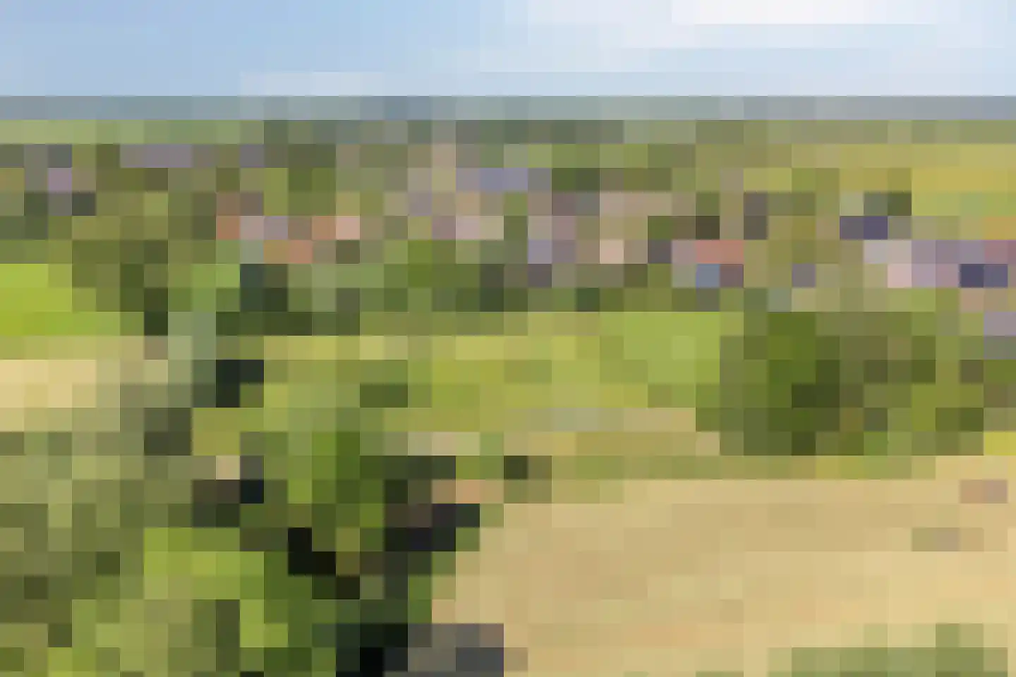 Lage Giessen 2 II Hoornaar thumbnail 55