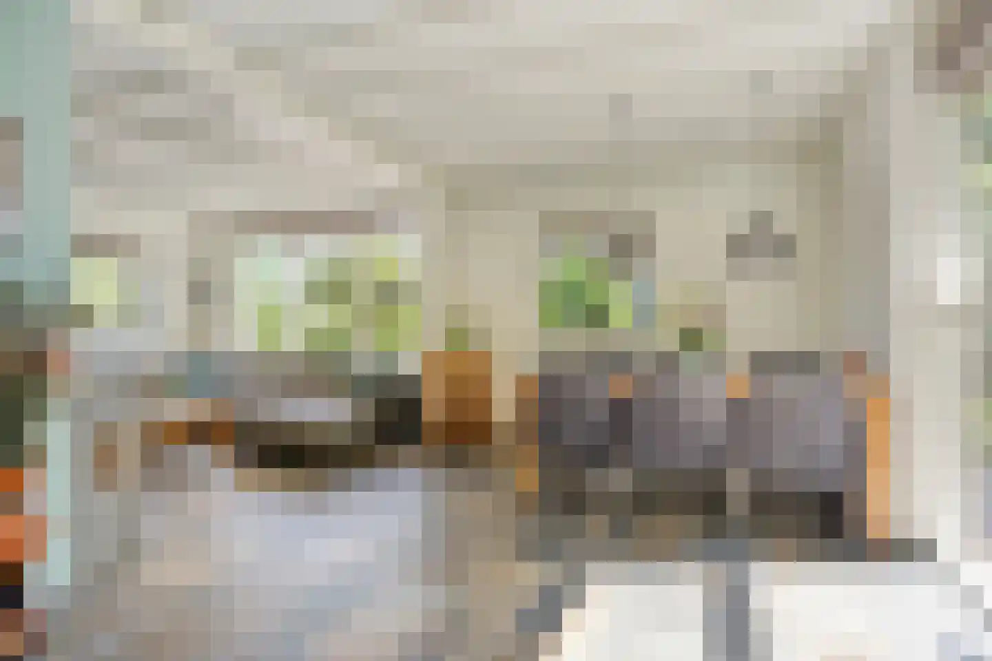 Lage Giessen 2 II Hoornaar thumbnail 6