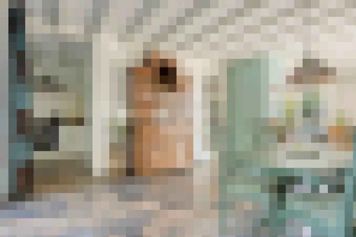 Lage Giessen 2 II Hoornaar thumbnail 7