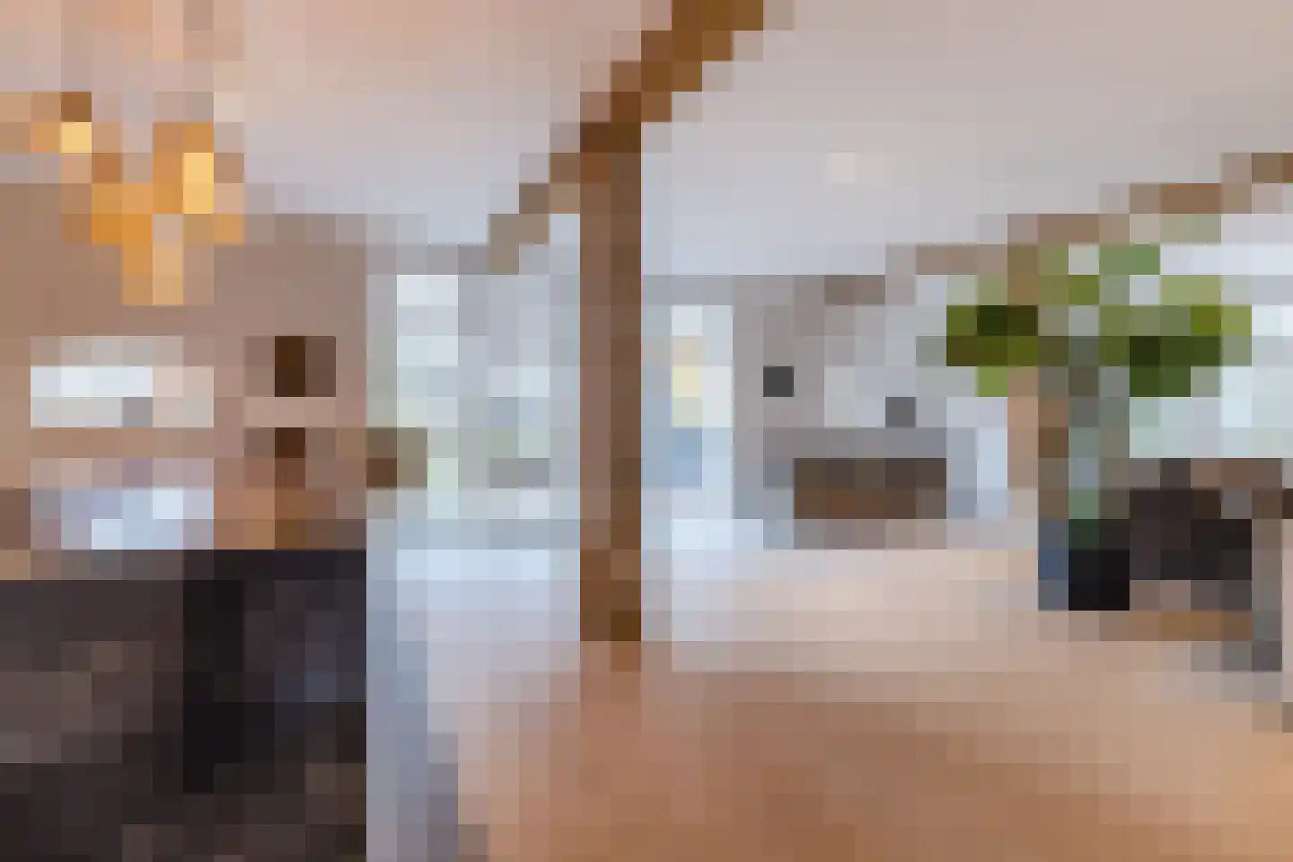 Lage Giessen 39 Hoornaar thumbnail 12