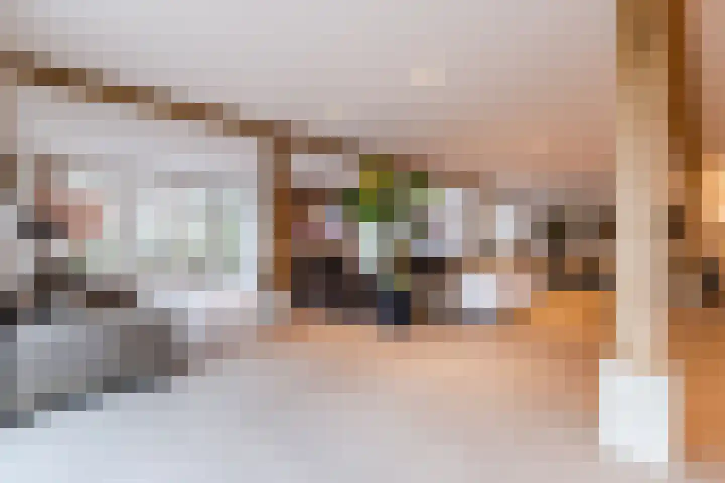 Lage Giessen 39 Hoornaar thumbnail 15