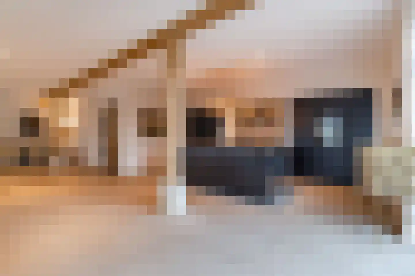 Lage Giessen 39 Hoornaar thumbnail 16