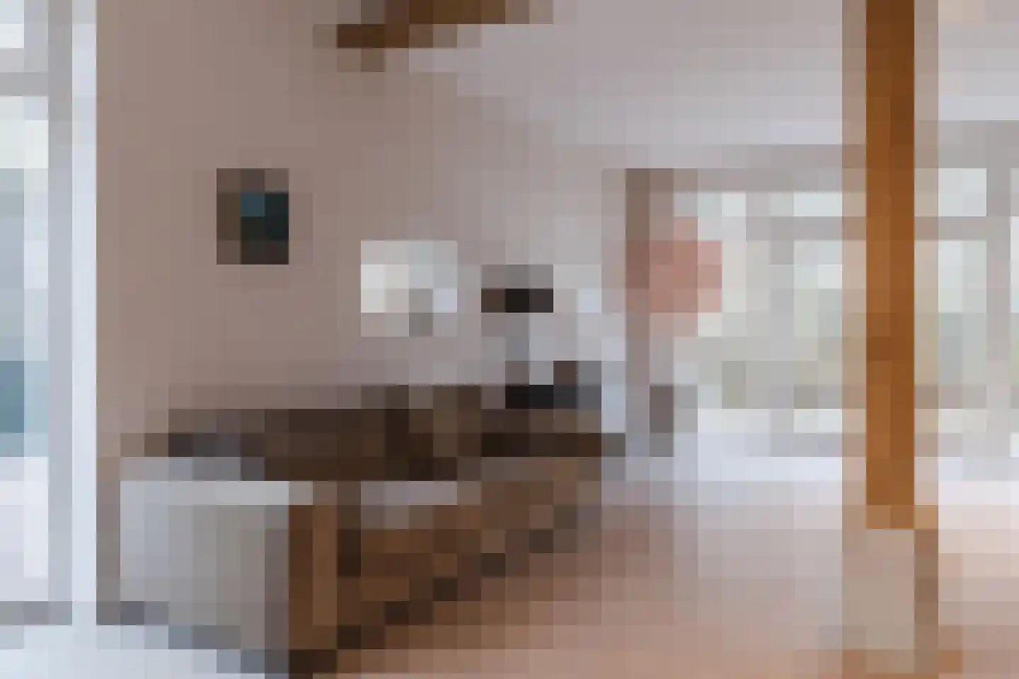 Lage Giessen 39 Hoornaar thumbnail 19