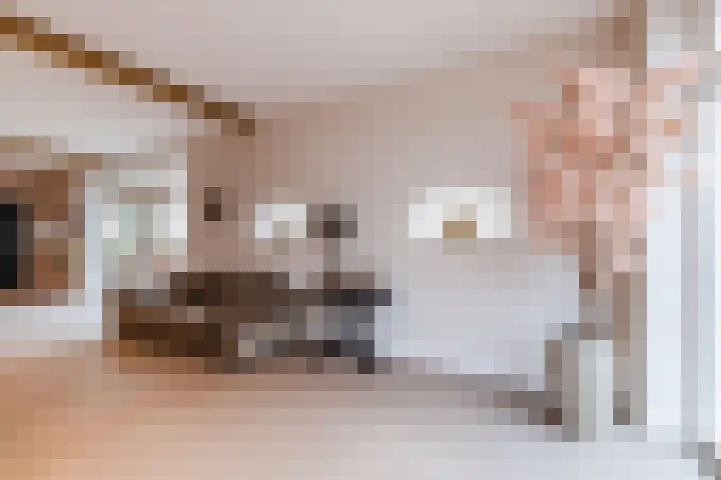 Lage Giessen 39 Hoornaar thumbnail 22